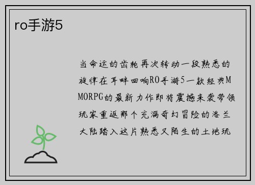 ro手游5